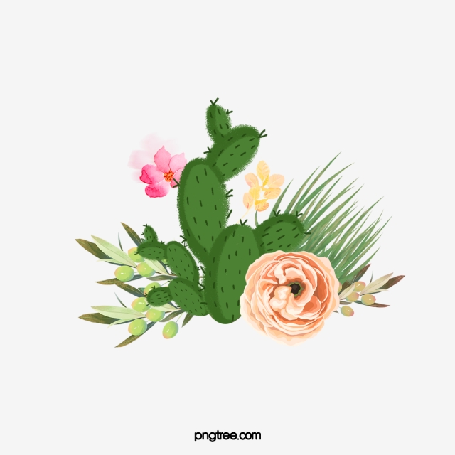 640x640 Cactus Png Images Vector And Free Download