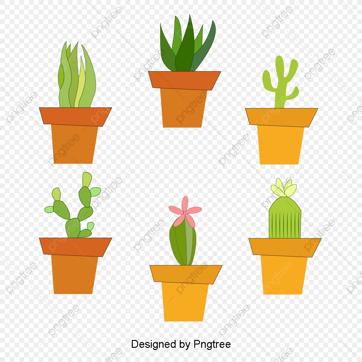 1200x1200 Cactus Vector, Cartoon Vector, Plant Vector Png Transparent
