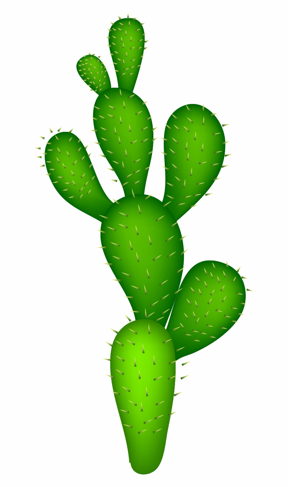 920x1555 Cactaceae Clip Art