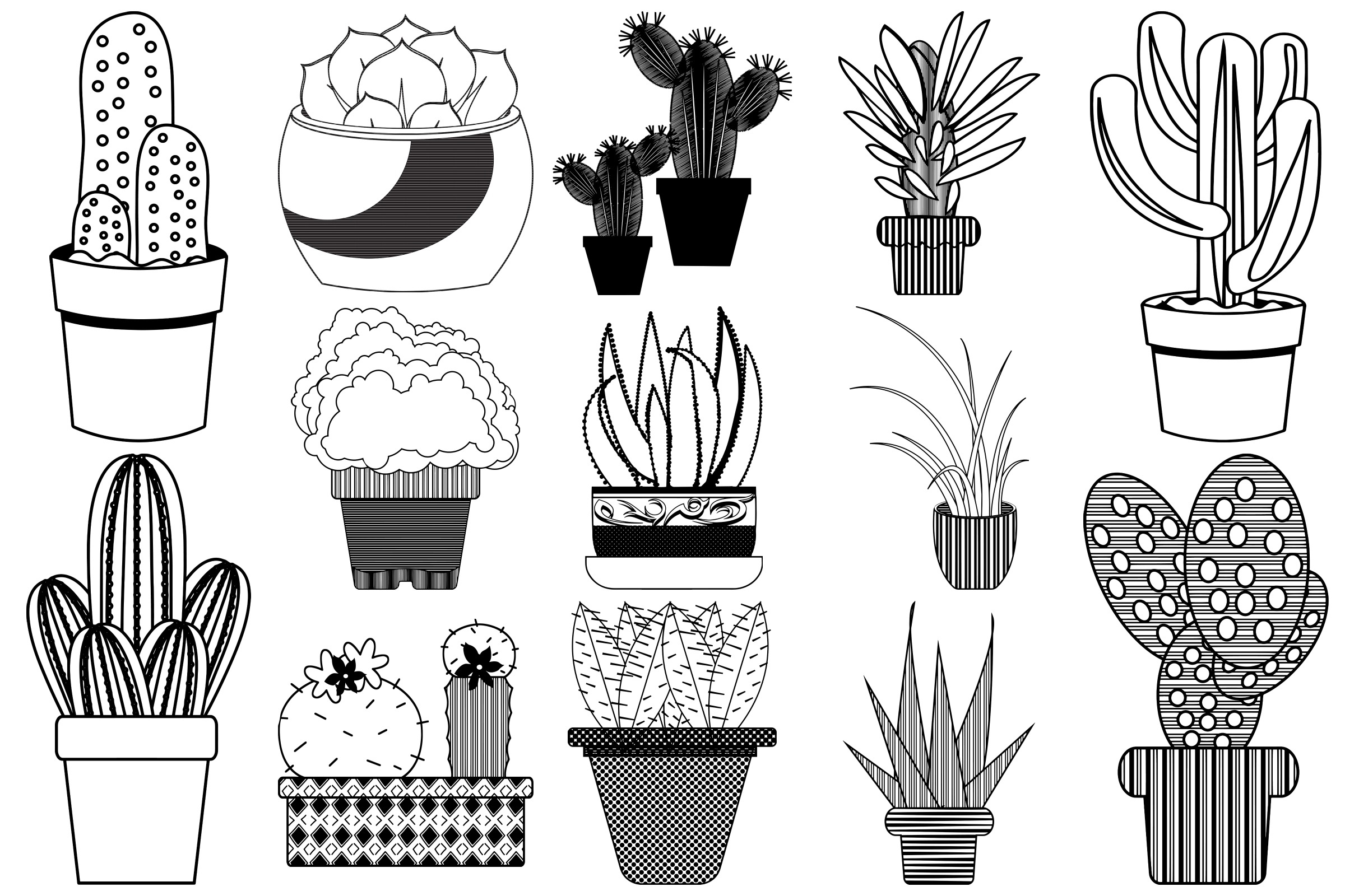 2400x1600 Cactus And Succulents Png, Vector Clip Art