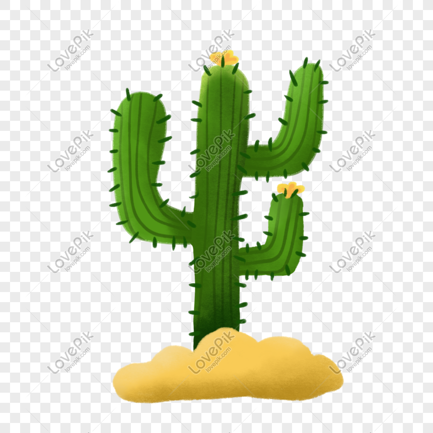 860x860 Cartoon Desert Cactus Vector Material Png Image Picture Free