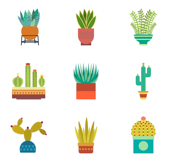 600x564 Cactus Icons