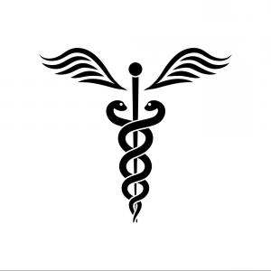 300x300 Caduceus Or Rod Of Asclepius Medical Symbol Vector Newwaysys