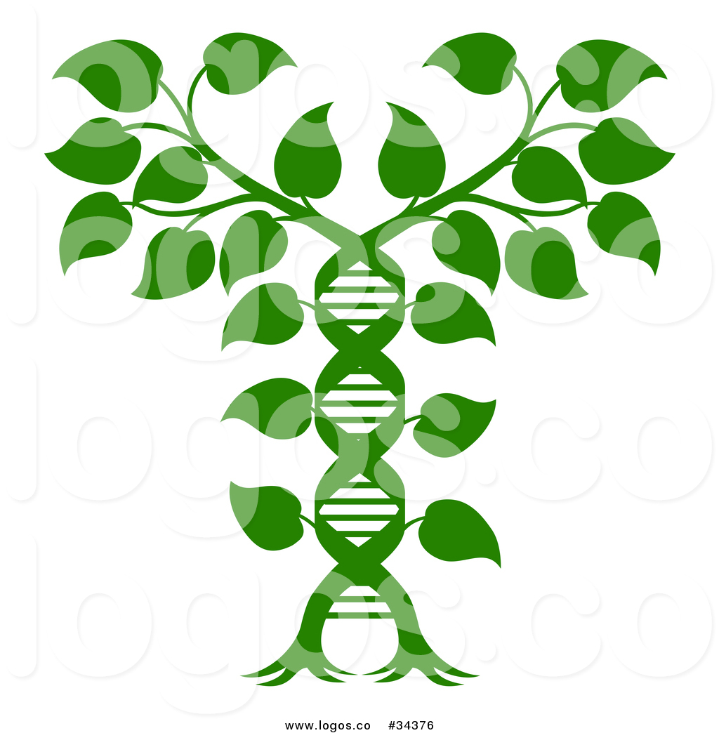1024x1044 Royalty Free Vector Logo Of A Dna Caduceus Plant Concept