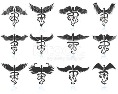 375x300 Veterinary Caduceus Black White Royalty Free Vector Icon Set