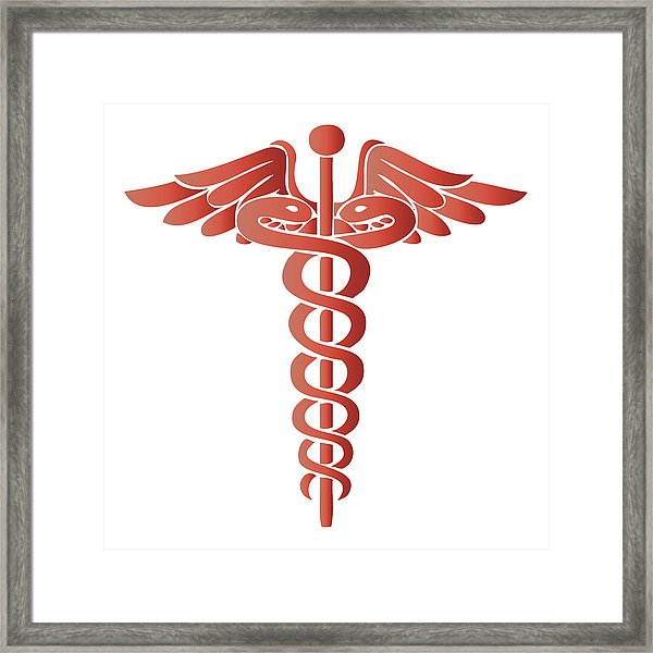 Caduceus Medical Symbol Vector at Vectorified.com | Collection of ...