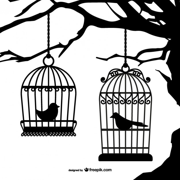626x626 Cage Vectors, Photos And Free Download