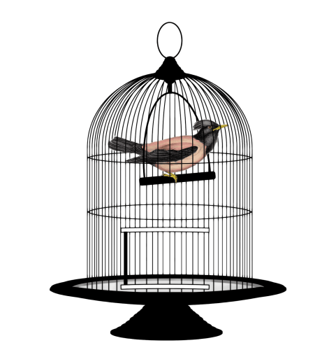 481x520 Cage Vector Clipart Images Gallery For Free Download Myreal Clip