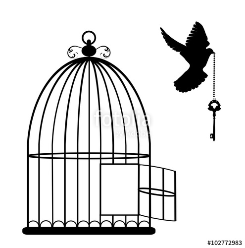 495x500 Bird Cage Vector Stock Image And Royalty Free Vector