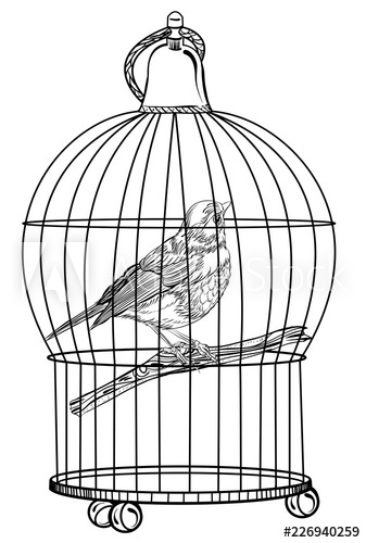 337x500 Bird In The Cage Vector Illustration Isolated On White Background