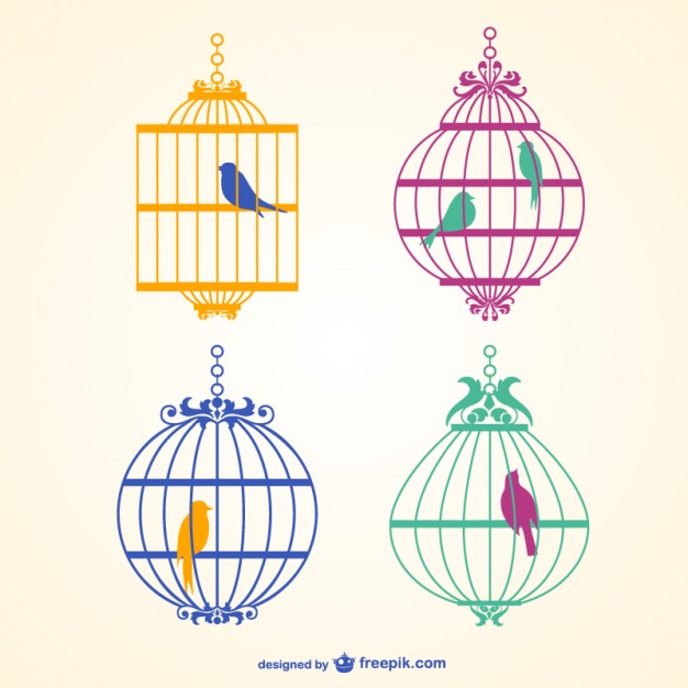 626x626 Bird Cage Vector Vector Free Download