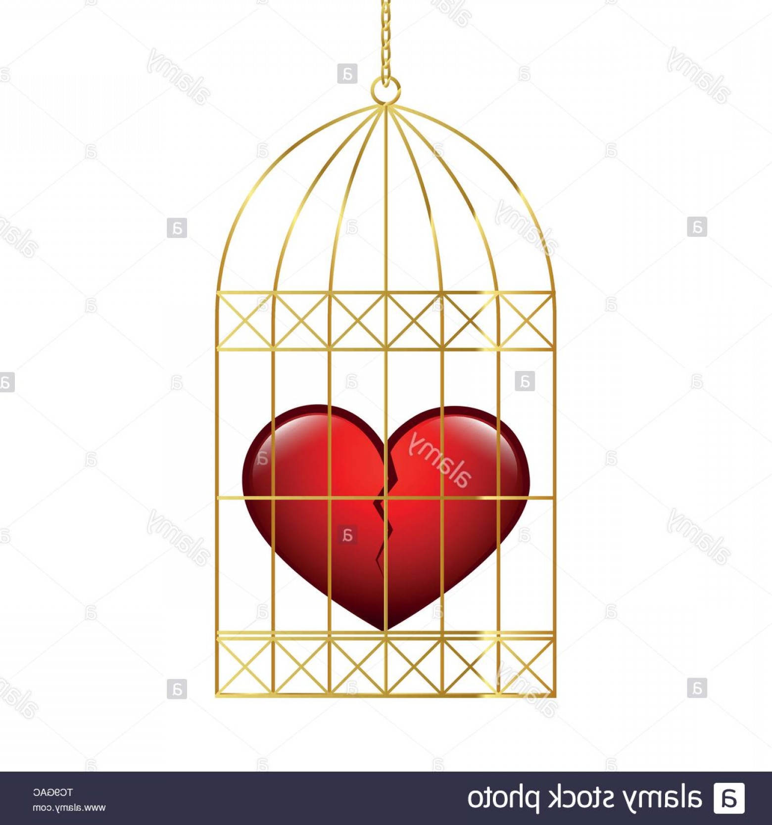 1560x1668 Broken Cage Vector Cqrecords