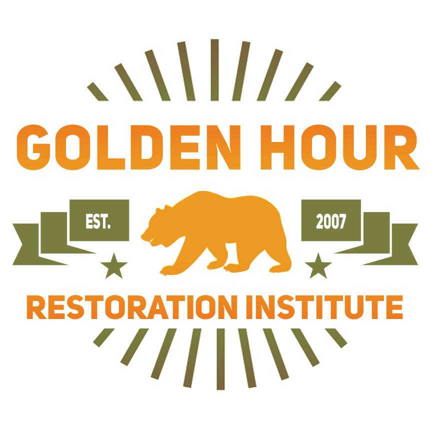 872x872 Free California Bear Vector Retro Logo Golden Hour Restoration