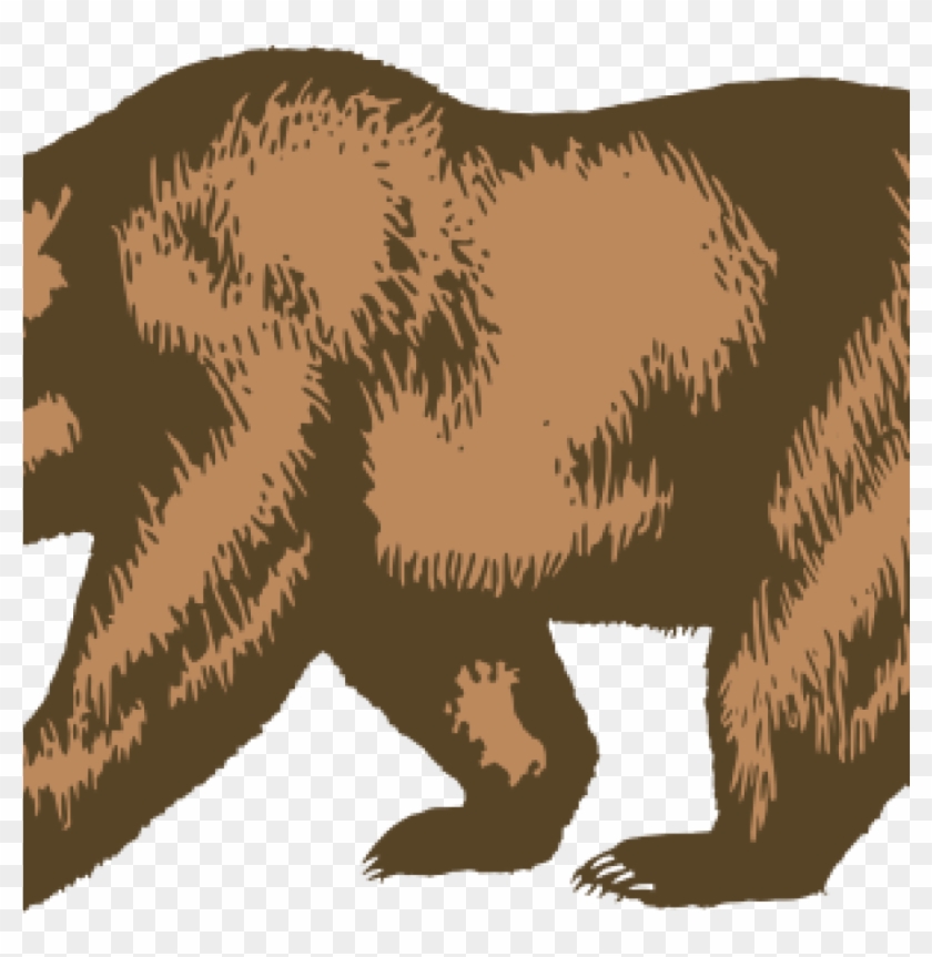 840x863 California Bear Outline Clip Art At Clker Vector Online