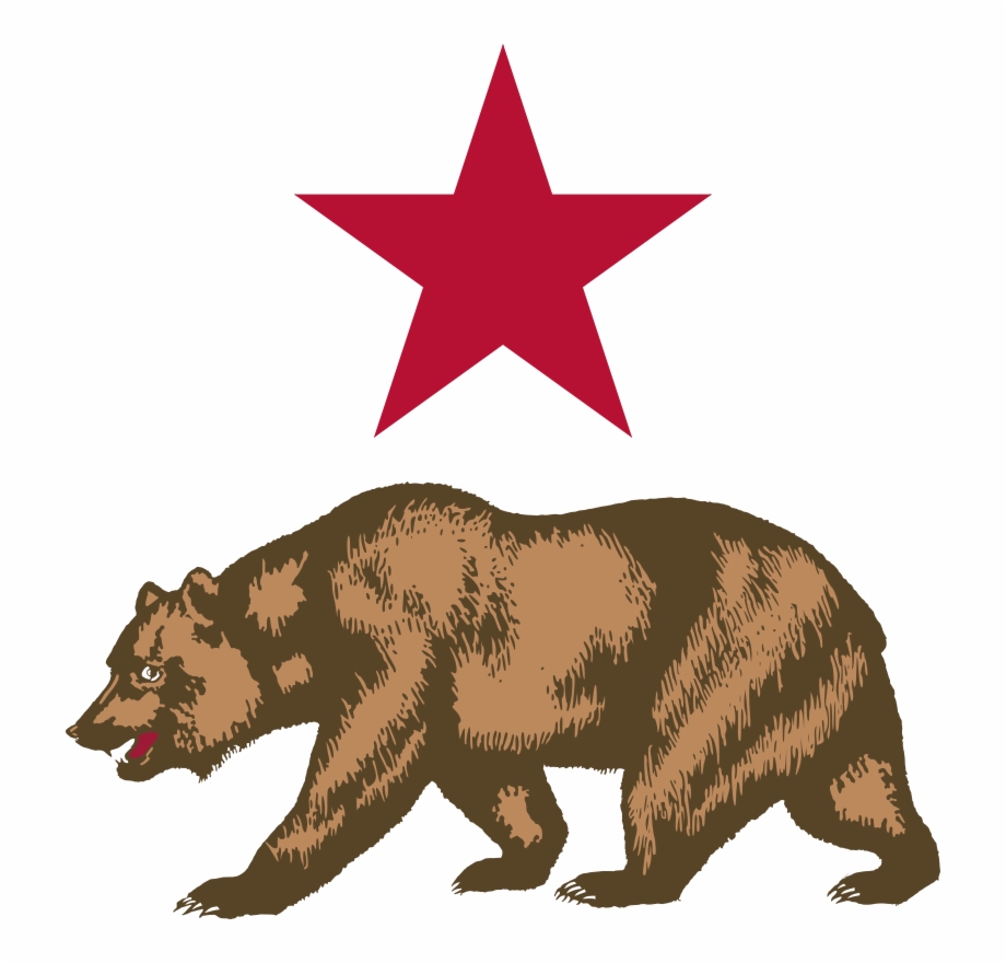 920x880 Star And Bear Clipart