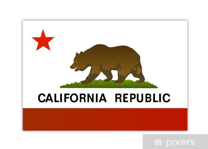 700x500 California Republic Flag Vector Wall Mural
