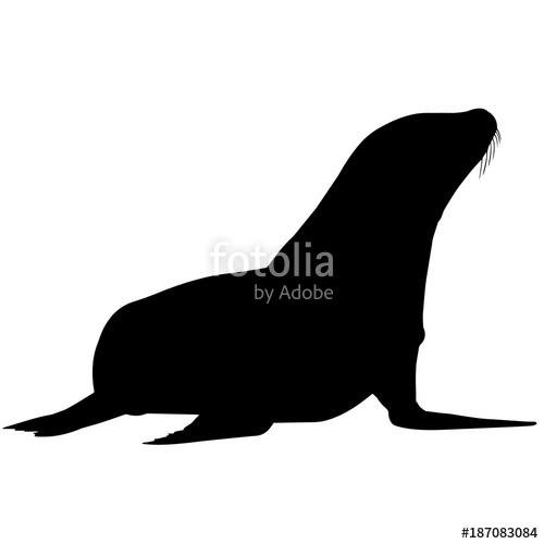 Sea Lion Silhouette Vector Graphics Stock Image And Royalty Free 500x500 Sea Lion Silhouette Vector Graphics Stock Image And Royalty Free