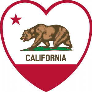 300x300 Vector Graphics Of Bear In Heart Shape