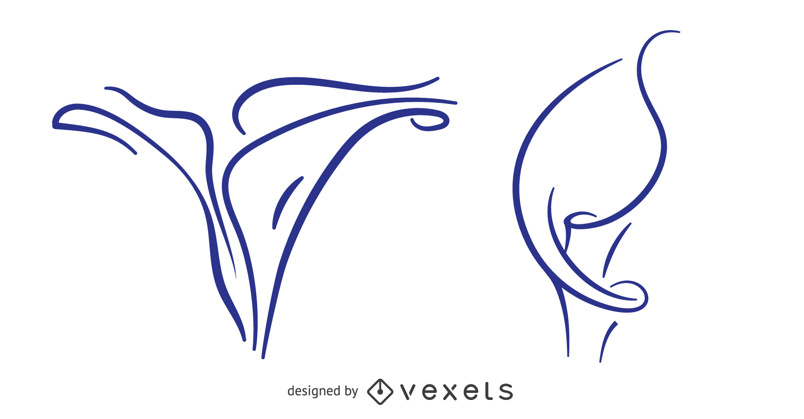 1600x835 Calla Lily Stroke Design