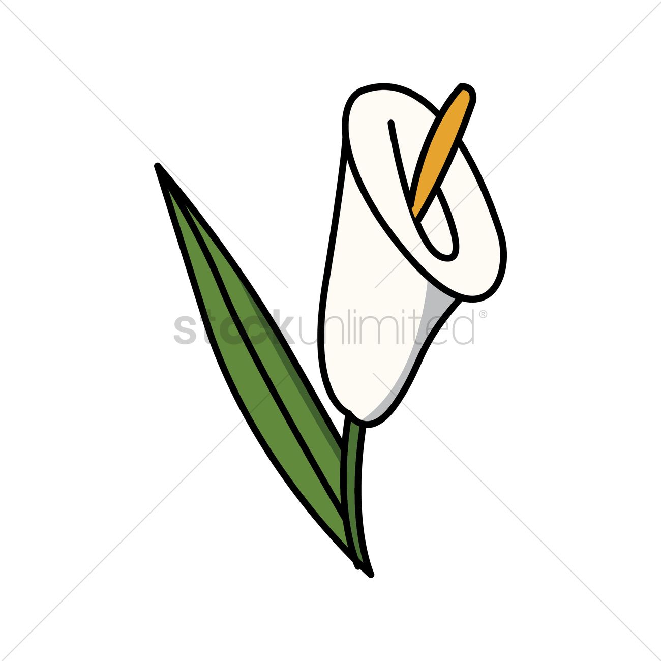 1300x1300 Calla Lily Vector Image
