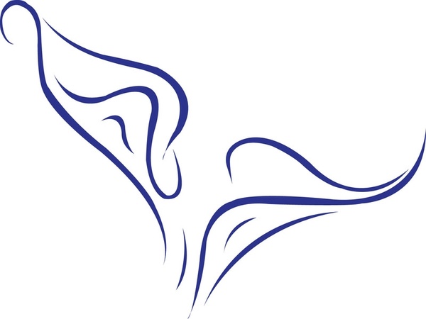 600x450 Free Calla Lily Vector Free Vector In Adobe Illustrator