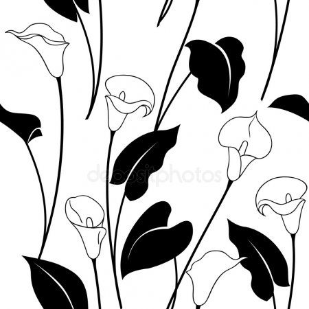 450x450 Vector Preto E Branco Calla Lily Flower Stock Vectors, Royalty