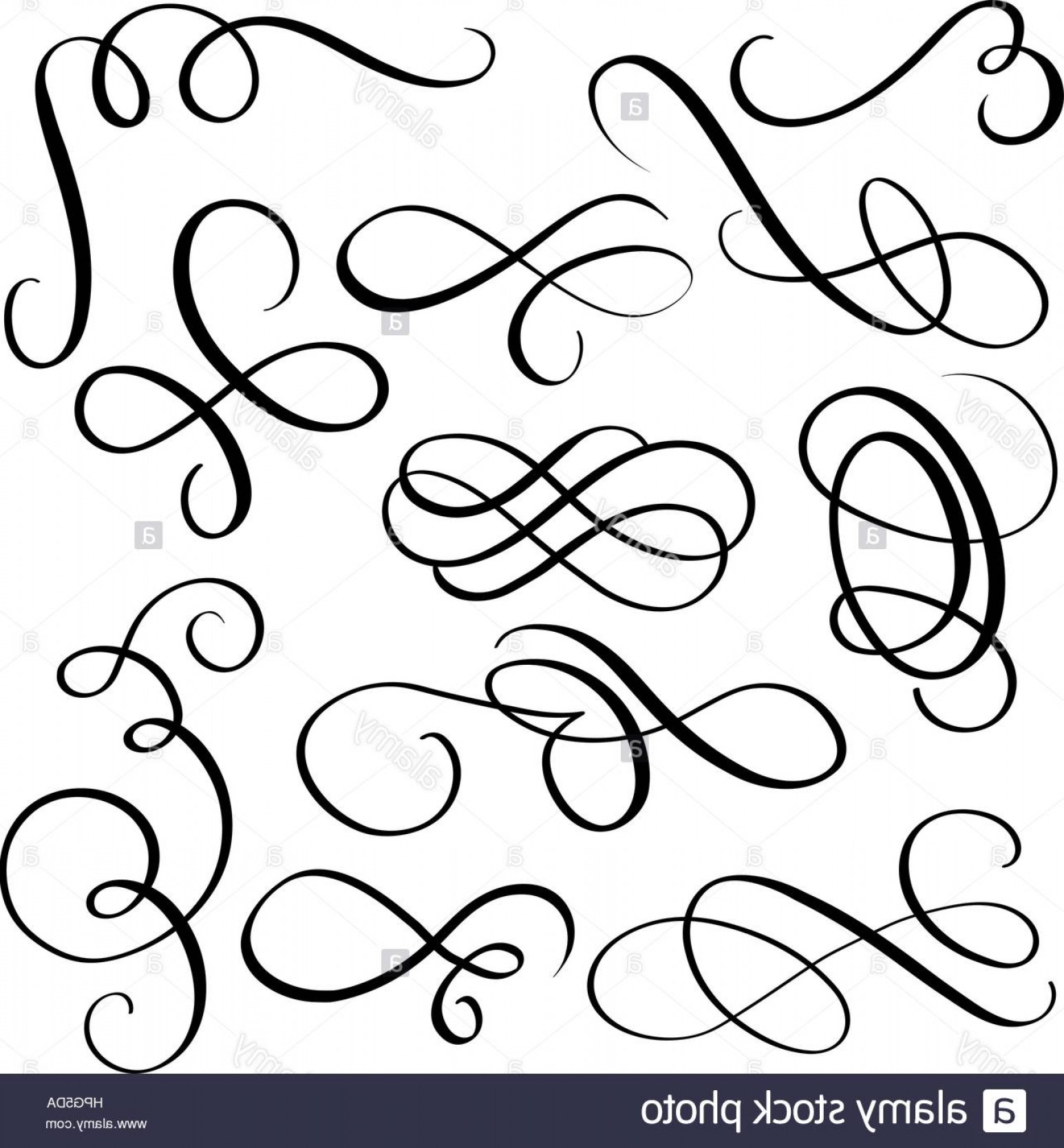 Flourish Vector Art Catchsplace 1546x1668 Flourish Vector Art Catchsplace
