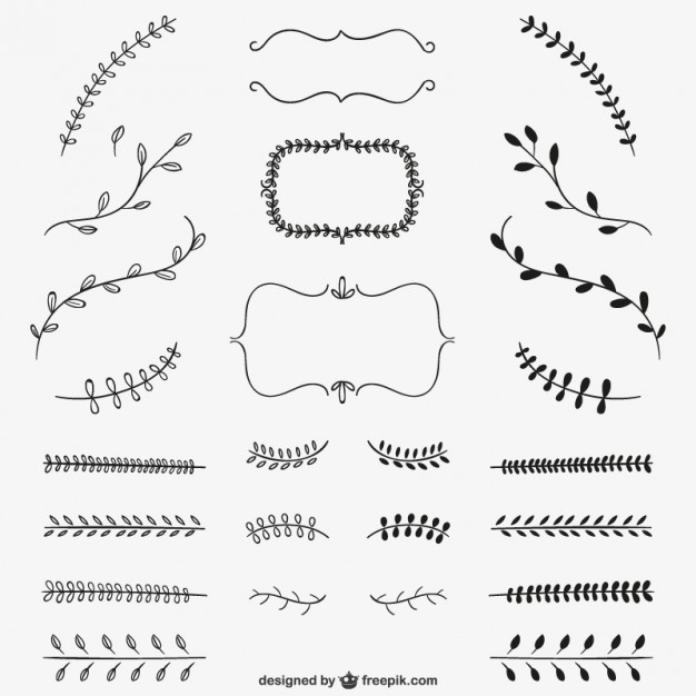 626x626 Calligraphic Floral Ornaments Collection Vector Free Download