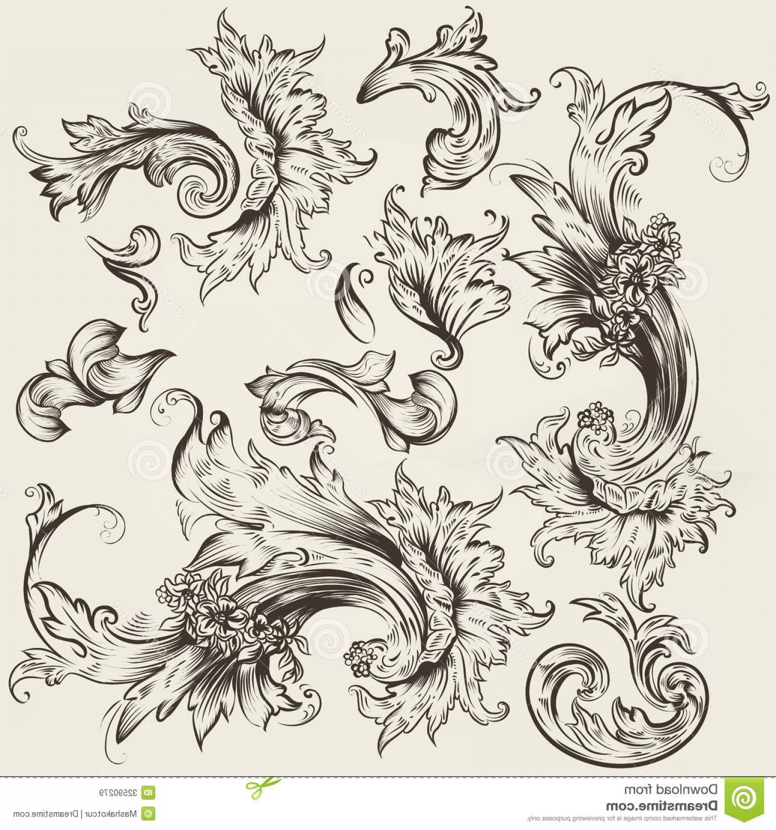 1560x1668 Royalty Free Stock Images Collection Vector Vintage Swirls Design