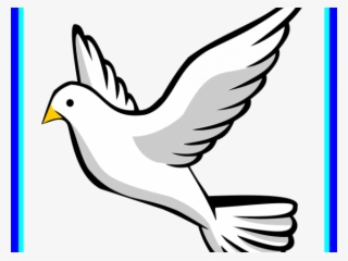 320x240 Dove Clipart Png, Free Hd Dove Clipart Transparent Image