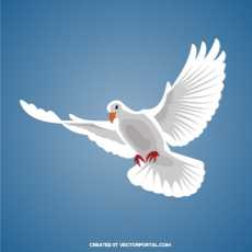 230x230 Calvary Chapel Dove Vector Free Vectors Downloads Found