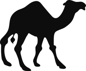 Camel Head Vector