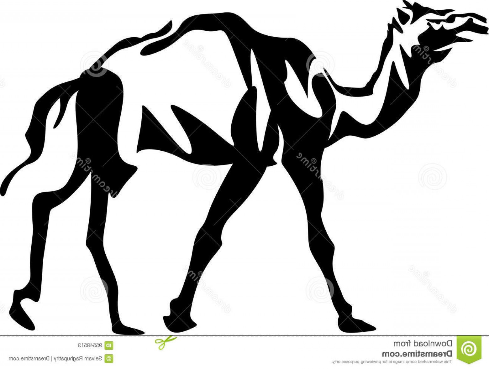 1560x1178 Camel Vector Face Wallkeeper