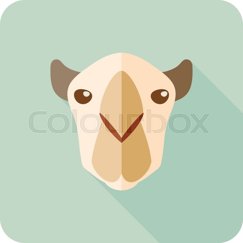 800x800 Camel Flat Icon Animal Head Vector Stock Vector Colourbox