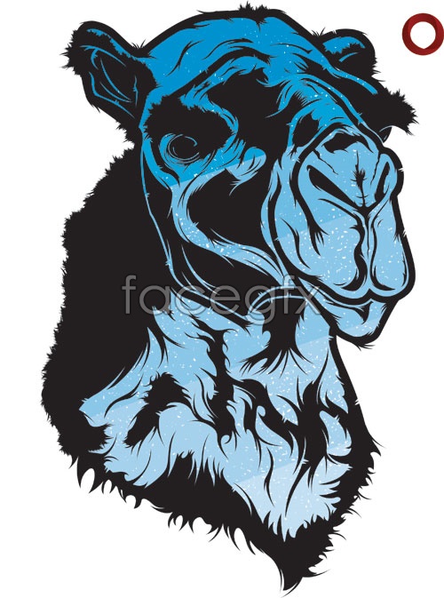 500x673 Camel Head Vector Over Millions Vectors, Stock Photos, Hd