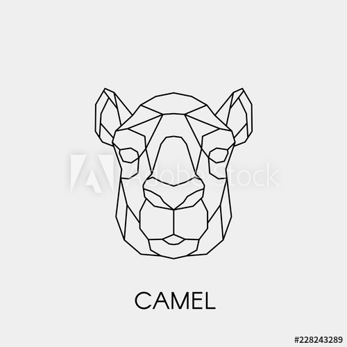 500x500 Geometric Camel Polygonal Linear Animal Head Vector Illustration