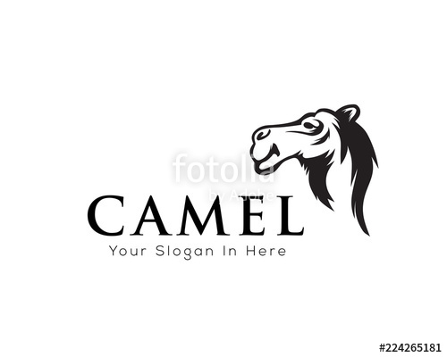 500x400 Head Camel Logo Art Stock Image And Royalty Free Vector