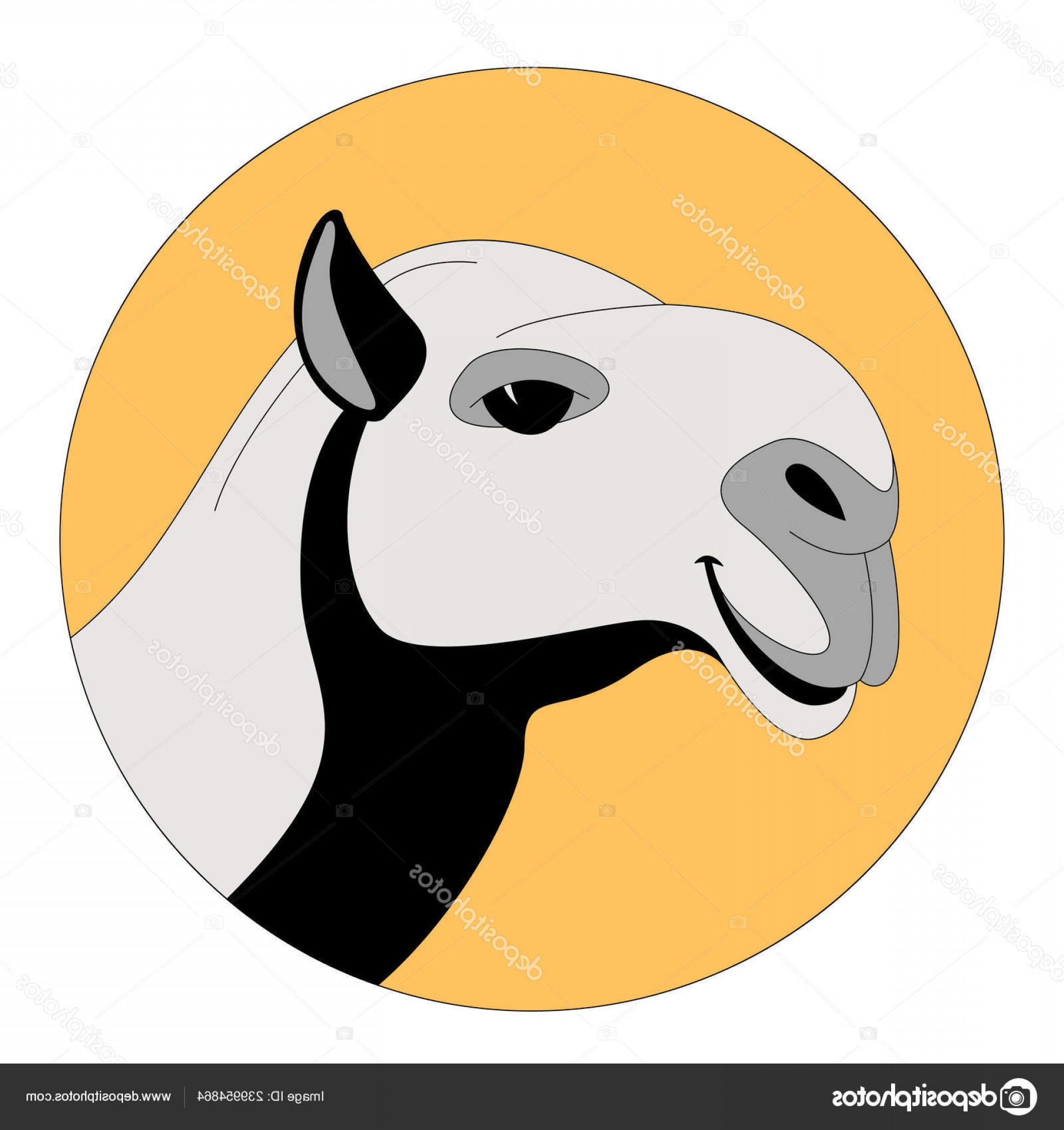 1920x2040 Side Head Vector Hoodamathrun