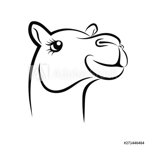 500x500 Sketch Camel Camel Head Symbol Camel Sign Isolated On White