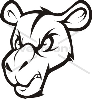 299x320 Wild Camel Head Cartoon