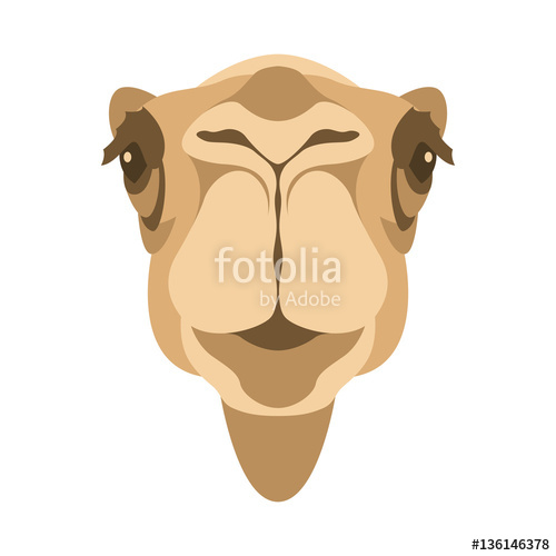 500x500 Camel Head Face Vector Illustration Style Flat Stock Image