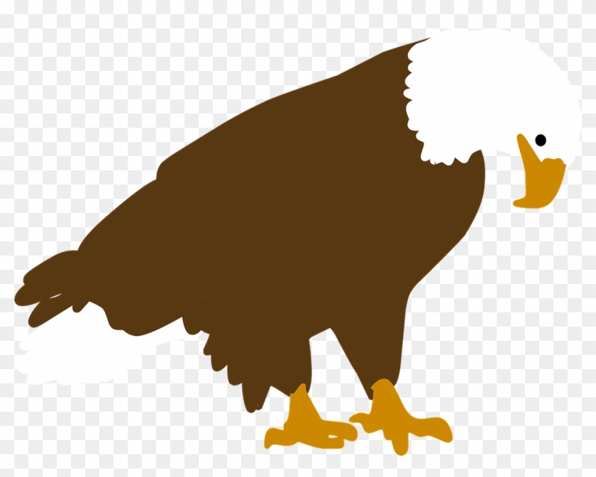 840x672 Camel Cliparts