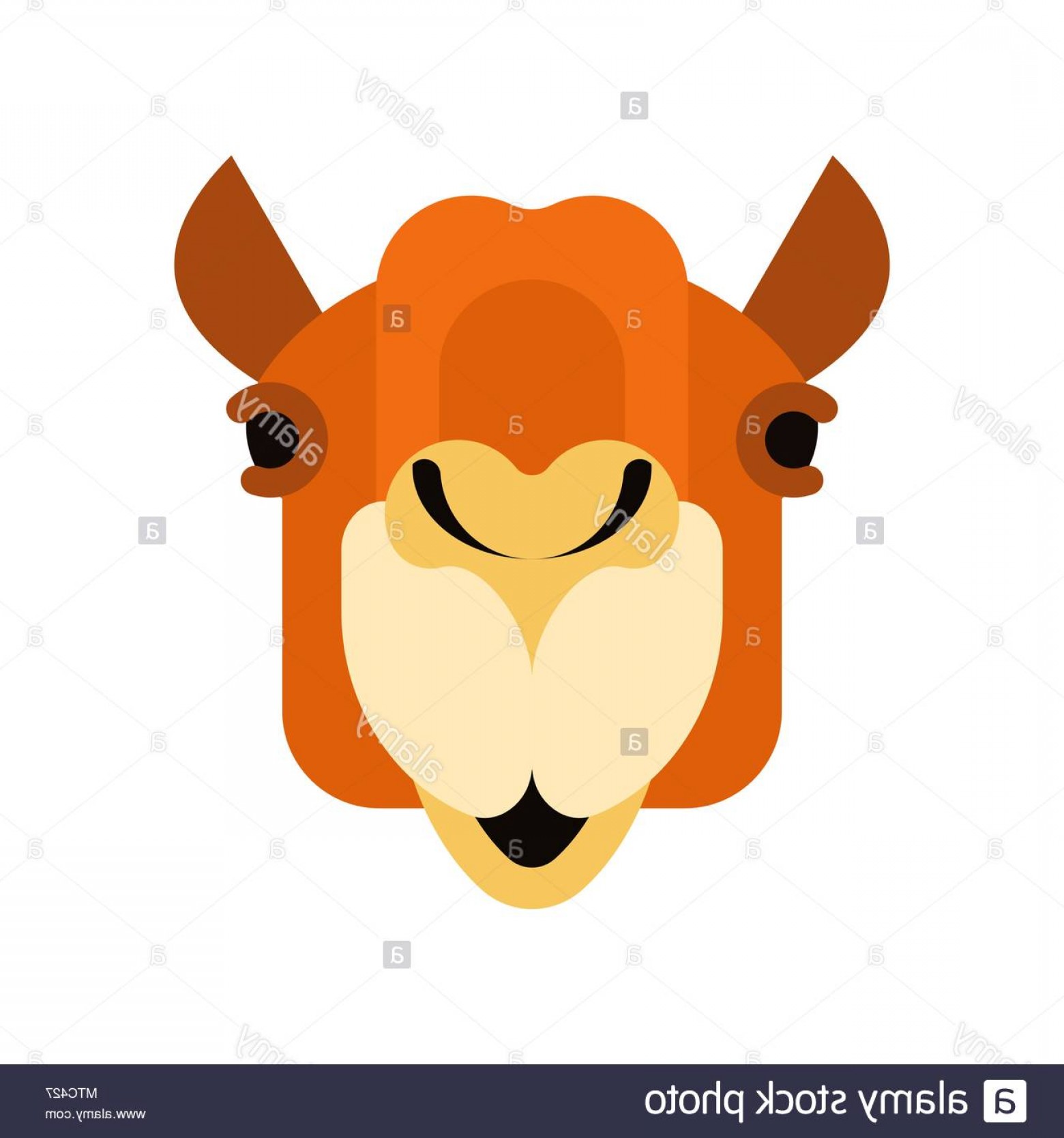 1560x1668 Camel Face Front Head Animal Uae Beast Of Desert Vector