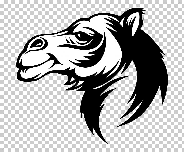 728x600 Camel Face Graphics, Camel Png Clipart Free Cliparts Uihere