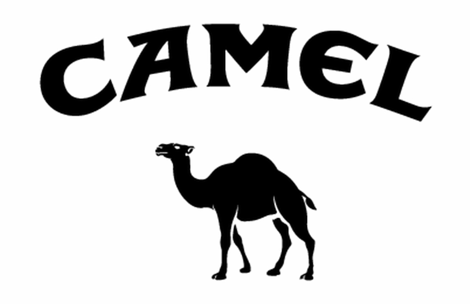 920x595 Camel Logo Png
