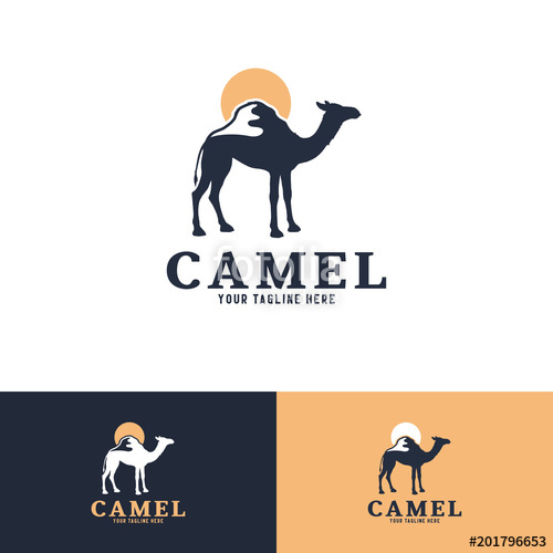 500x500 Camel Logo Template Design Creative Vector Emblem, For Icon