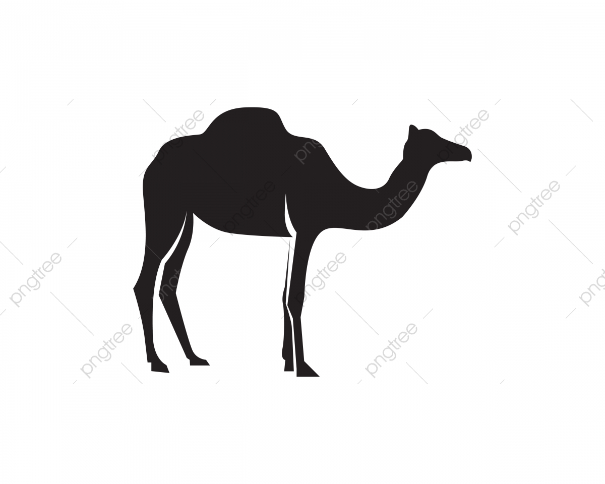 1200x960 Camel Logo Template Vector, Abstract, Africa, Animals Png