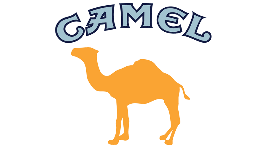 900x500 Camel Logo Vector