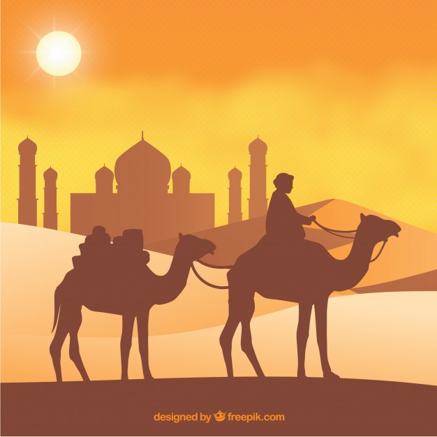 626x626 Camel Vectors, Photos And Free Download