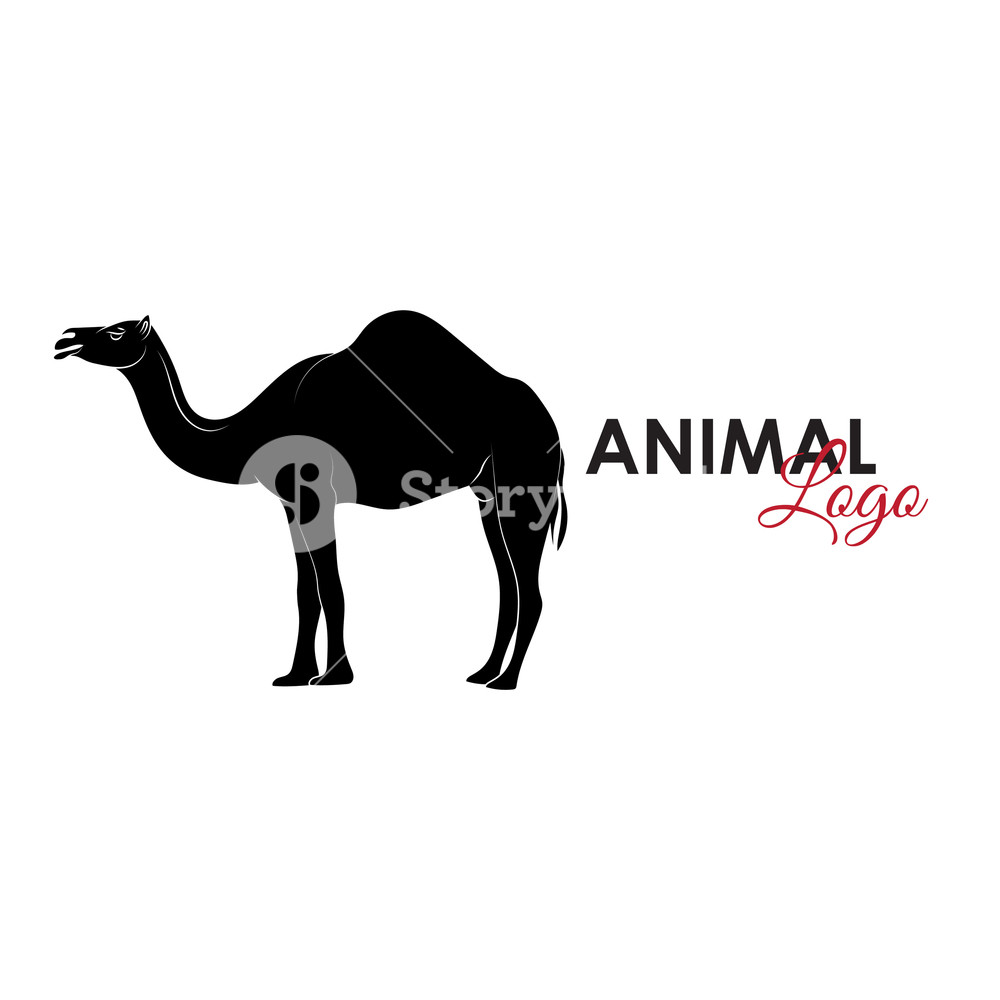 1000x1000 Camel Icon Logo Symbol Vector Illustration Royalty Free Stock